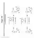Fig. 22 - Isobarically labeled analytes and fragment ions derived therefrom