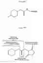 Fig. 28 - Isobarically labeled analytes and fragment ions derived therefrom