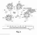 Fig. 06 - Interaction of colloid-immobilized species with species on non-colloidal structures