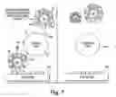 Fig. 08 - Interaction of colloid-immobilized species with species on non-colloidal structures