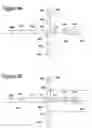 Fig. 15 - Process and apparatus for adjusting traces