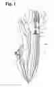 Fig. 02 - Mounting structure for jet propulsion pump in personal watercraft