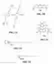 Fig. 02 - Light-activated biocidal polyelectrolytes