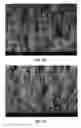 Fig. 32 - Two-sided cloth like tissue webs