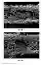 Fig. 34 - Two-sided cloth like tissue webs