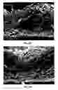 Fig. 35 - Two-sided cloth like tissue webs