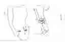 Fig. 06 - Toy vehicles having interchangeable body styles