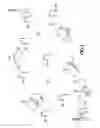 Fig. 02 - Yard game obstacle system