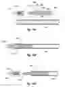 Fig. 15 - Arrow System