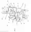 Fig. 06 - Continuously variable planetary gear set