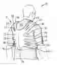 Fig. 01 - Training harness
