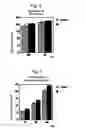 Fig. 03 - Plant activator