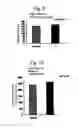 Fig. 07 - Plant activator