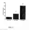 Fig. 02 - Dopaminergic stimulatory factor