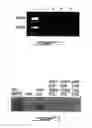 Fig. 02 - Method and composition for treatment of angiogenesis