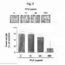 Fig. 08 - Method and composition for treatment of angiogenesis