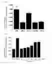 Fig. 02 - Glycosyltransferase GnT-V having neovascularization action