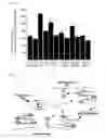 Fig. 05 - Glycosyltransferase GnT-V having neovascularization action