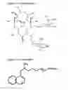 Fig. 06 - Salts of pharmacologically active compounds