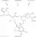 Fig. 69 - Avermectin derivatives