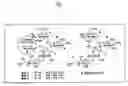 Fig. 04 - Bifunctional antibiotics for targeting rRNA and resistance-causing enzymes and for inhibition of anthrax lethal factor