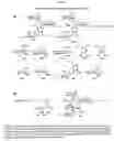 Fig. 13 - Bifunctional antibiotics for targeting rRNA and resistance-causing enzymes and for inhibition of anthrax lethal factor