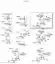 Fig. 17 - Bifunctional antibiotics for targeting rRNA and resistance-causing enzymes and for inhibition of anthrax lethal factor