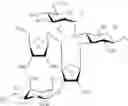 Fig. 19 - Bifunctional antibiotics for targeting rRNA and resistance-causing enzymes and for inhibition of anthrax lethal factor