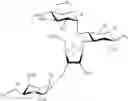 Fig. 21 - Bifunctional antibiotics for targeting rRNA and resistance-causing enzymes and for inhibition of anthrax lethal factor