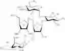 Fig. 23 - Bifunctional antibiotics for targeting rRNA and resistance-causing enzymes and for inhibition of anthrax lethal factor