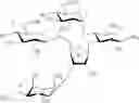Fig. 26 - Bifunctional antibiotics for targeting rRNA and resistance-causing enzymes and for inhibition of anthrax lethal factor