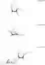 Fig. 32 - Bifunctional antibiotics for targeting rRNA and resistance-causing enzymes and for inhibition of anthrax lethal factor