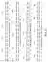 Fig. 04 - Nucleic acid immunization