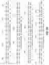 Fig. 06 - Nucleic acid immunization
