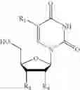 Fig. 22 - Small molecule compositions and methods for increasing drug efficiency using compositions thereof