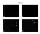 Fig. 10 - IAP nucleobase oligomers and oligomeric complexes and uses thereof
