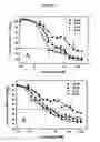 Fig. 16 - IAP nucleobase oligomers and oligomeric complexes and uses thereof