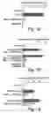 Fig. 03 - Methods for treating and preventing insulin resistance and related disorders