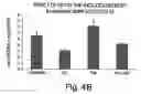 Fig. 07 - Methods for treating and preventing insulin resistance and related disorders