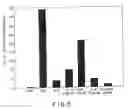 Fig. 09 - Immunostimulatory nucleic acid molecules