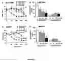 Fig. 02 - Compositions and methods for inhibition of phospholipase A2 mediated inflammation