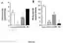 Fig. 08 - Compositions and methods for inhibition of phospholipase A2 mediated inflammation