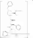Fig. 43 - Indinavir derivatives useful in immunoassay