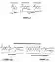 Fig. 07 - Reagents and method for spatio-temporal control of gene expression by illumination