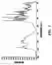 Fig. 02 - Formoterol tartrate polymorph