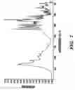 Fig. 08 - Formoterol tartrate polymorph