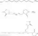 Fig. 09 - Supramolecular polymers