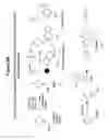 Fig. 08 - Active esters of N-substituted piperazine acetic acids, including isotopically enriched versions thereof