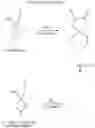 Fig. 05 - Process for the preparation of gabapentin