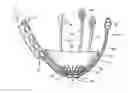 Fig. 01 - Device to permit offpump beating heart coronary bypass surgery